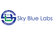 sky blue lab